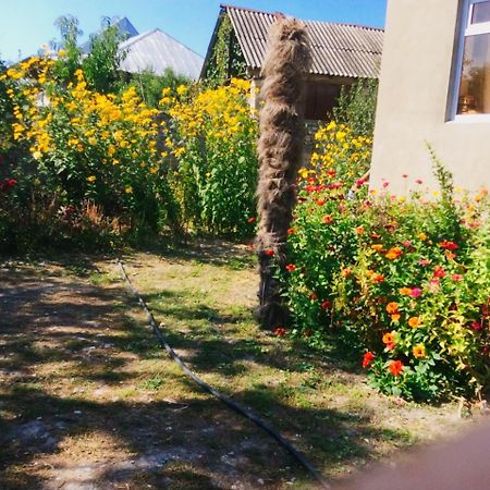Bed and Breakfast House On Ashiq Cuma Street 8 Şǝki Exterior foto