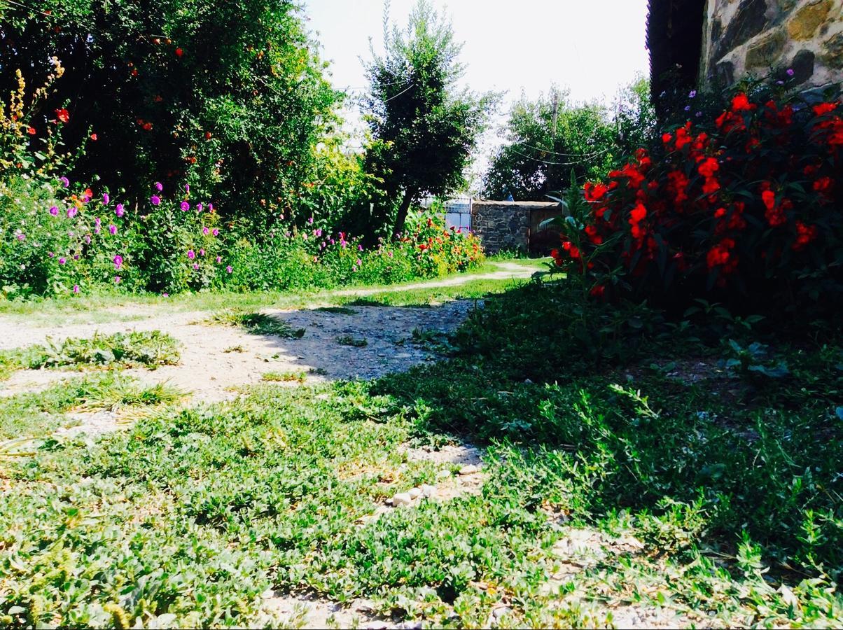 Bed and Breakfast House On Ashiq Cuma Street 8 Şǝki Exterior foto