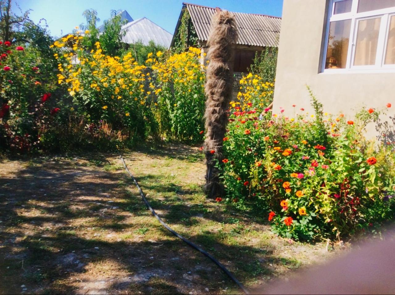 Bed and Breakfast House On Ashiq Cuma Street 8 Şǝki Exterior foto