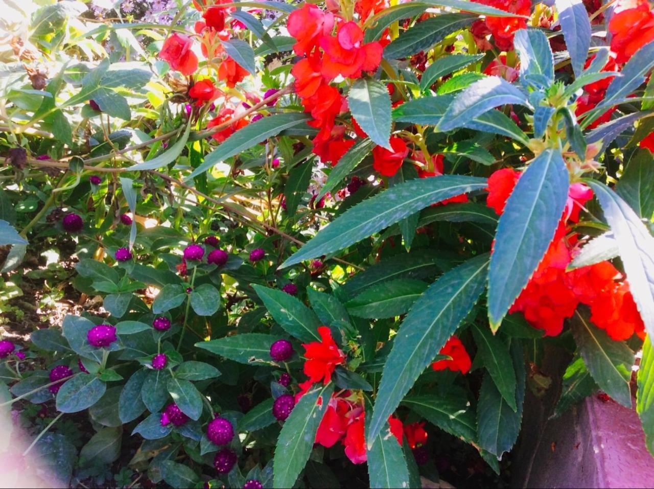 Bed and Breakfast House On Ashiq Cuma Street 8 Şǝki Exterior foto